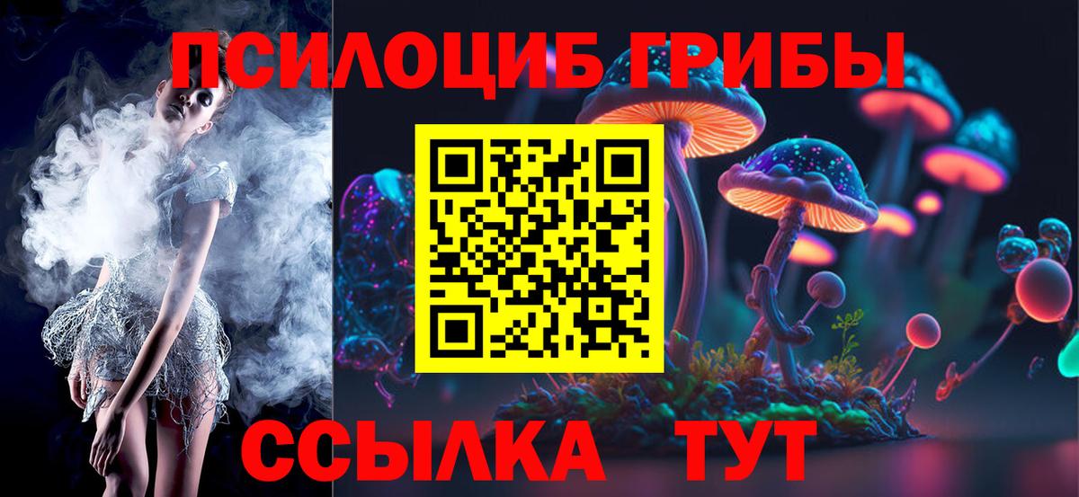 Псилоцибиновые грибы Psilocybe Мариинск